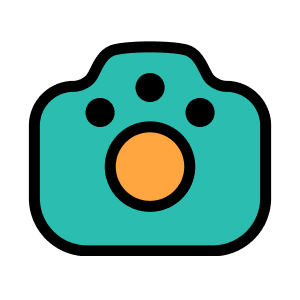 عنوان دسته بندی